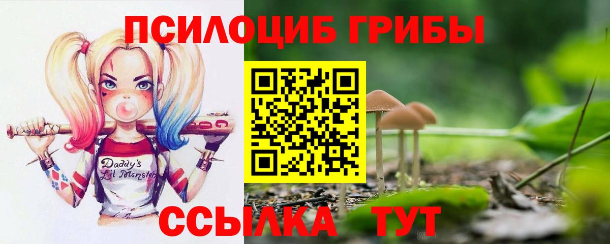 Галлюциногенные грибы мухоморы Медногорск