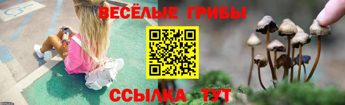 купить наркотик  Вход с VPN  Медногорск  Галлюциногенные грибы ЛСД 